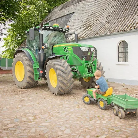 Lindenhof Apartment *