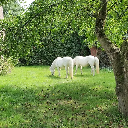 Apartment Lindenhof Ahneby