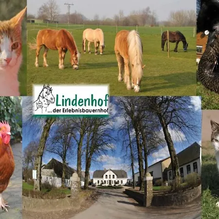 Lindenhof Apartment Ahneby